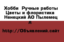 Хобби. Ручные работы Цветы и флористика. Ненецкий АО,Пылемец д.